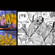Illustration for article titled It's Like One Piece Is Ripping Off Disney and Tim Burton